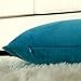 Artcest Set of 2, Cozy Solid Velvet Throw Pillow Case, Decorative Couch Cushion Cover, Soft Sofa Euro Sham with Zipper Hidden, 12