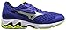 Mizuno Men's Wave Inspire 12 Running Shoe, Surf The Web/Silver, 10 D US