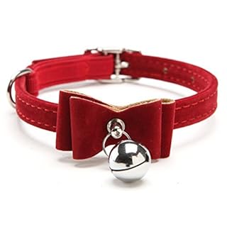 fancy kitten collars