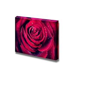 Canvas Prints Wall Art - Closeup of Dark Red Rose Flower Against Black Background | Modern Wall Decor/Home Decoration Stretched Gallery Canvas Wrap Giclee Print & Ready to Hang - 12" x 18"