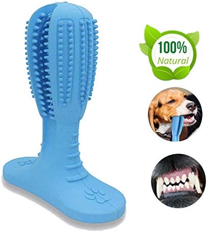LAROSA MEDICAL Dog Chew Toothbrush - 2019 Upgraded Dog Toothbrush Toy - Safe, Non-Toxic and Durable Dog Toothbrush Stick - Best Dog Toothbrush