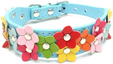 Colourful Puppy Collar Cute Flower Studded Leather Pet Dog Cat Buckle Neck Strap 1PC Or 3PCS Set