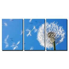 Dandelion Seeds Flying in The Blue Sky Useful...