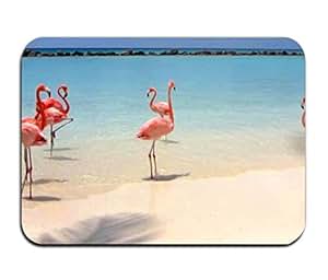 Amazoncom Dick Sidney Door Mat Flamingo Beach Insole Non