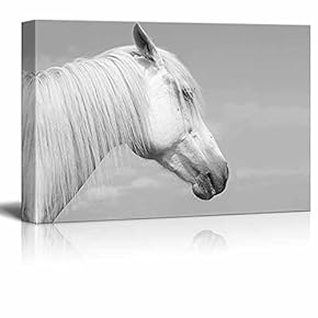 Canvas Prints Wall Art - Head of a White Horse Against The Sky | Modern Wall Decor/Home Decoration Stretched Gallery Canvas Wrap Giclee Print & Ready to Hang - 12" x 18"