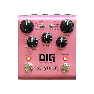 strymon DIG