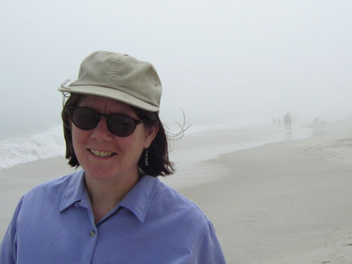 Just like that marsha qualey book report 02 picture