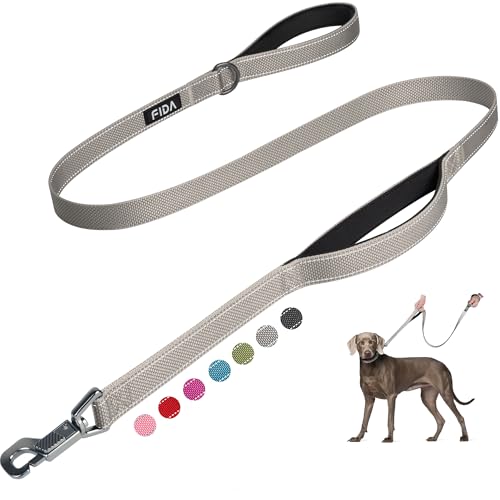 Fida 5 FT Heavy Duty Dog Leash with 2 Comfortable Padded Handles, Traffic Handle & Advanced Easy Snap Hook, Reflective Walking Lead for Large, Medium & Small Breed Dogs, Grey