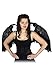 ZUCKER Gothic Maleficent Style Fallen Angel Feather Wings Halloween Costume