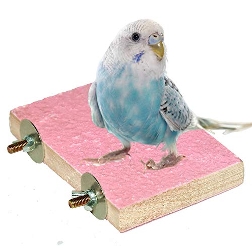 Colorful Bird Perch Stand Platform Natural Wood Playground Paw Grinding Clean for Pet Parrot Budgies Parakeet Cockatiels Conure Lovebirds Rat Mouse Cage Accessories Exercise Toys