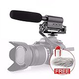 TAKSTAR SGC-598 Interview Photography Microphone Nikon/Canon Camcorder Camera/DV (SGC598 w Windsheild) (Medium)