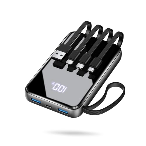 Binli Portable Charger