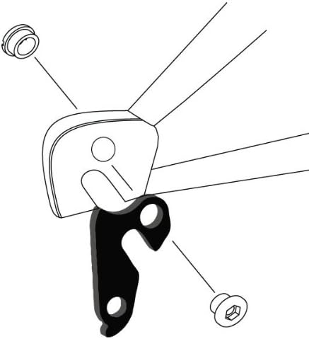 derailleur hanger 38