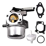 WELNHB Carburetor Carb for Briggs & Stratton 796608 Select 111000 11P000 121000 12Q000