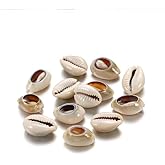 100 Pcs White and Lvory Natural Cowrie Shells Beads Oval Beach Seashells African Shells for Hair Jewelry Making DIY Craft Beads and Bead Assortments Beading and Jewelry Making