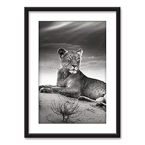 Framed Wall Art - Lion Spines Quilled a Porcupine in Black White - Black Picture Frames White Matting - 23x31 inches