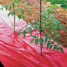 Red Mulch - Garden - Plastic Film - 4ft. X 100ft. 1.0 Mil Embossed By Grower's Solution