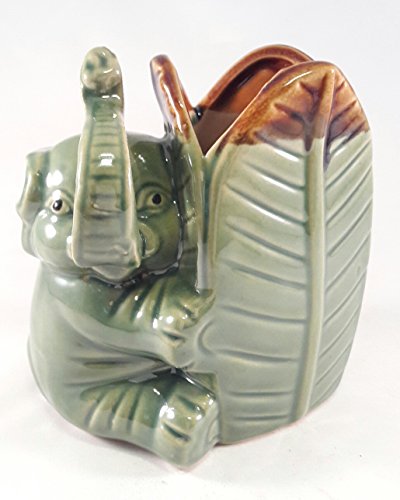 Lucky Bamboo elephant leaf - Ceramic Vase Quality unique from Jmbamboo