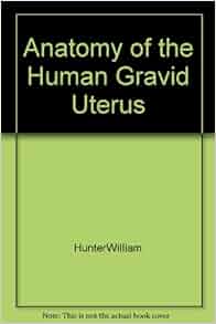 Anatomy Of The Human Gravid Uterus Hunterwilliam Amazon