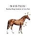Manna Pro Corp 1000082 Manna Pro Opti-Zyme Microbial Digestive Supplement for Horse, 3-Pound, White