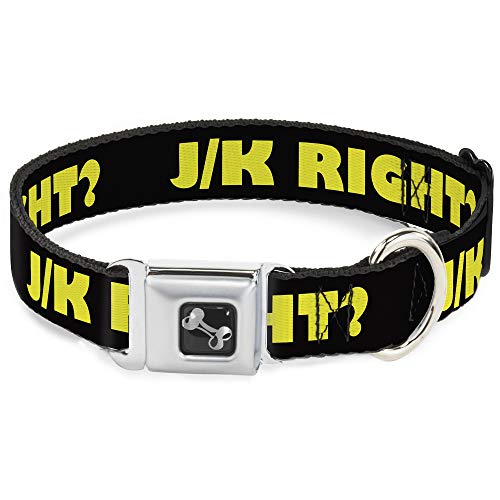 Buckle-Down Seatbelt Buckle Dog Collar - J/K RIGHT? Black/Yellow - 1" Wide - Fi…