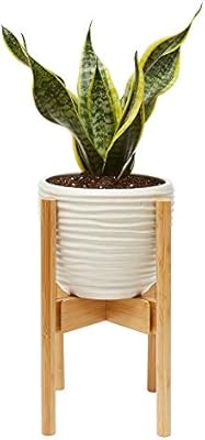 Wood Plant Pot Holder Modern Planter Decor Holders Indoor