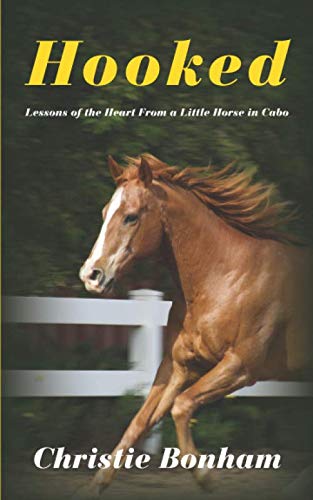 Hooked: Lessons of the Heart From a Little Horse in Cabo by Christie Bonham