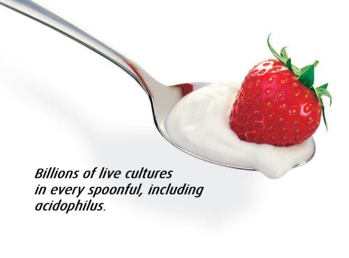 Easiyo Sweet Mango Yogurt Base and Culture, 8-Ounce - Thumbnail 3