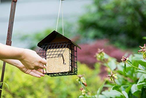 MEKKAPRO Double Suet Wild Bird Feeder with Hanging Metal Roof, Two Suet Capacity, Bird Feed Recommended (Renewed)