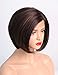 AIVA Glueless Bob Synthetic Lace Front Wigs for Women Side Part Natural Synthetic Hair Replacement Brown Wig (Brown, 8 inch)