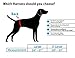 Dog Lift Harness Sling | Large ACL Brace for Rear Leg Support of Old K9 | Help Em Up Carrier Knee Limping Joint Hock Hip Injuries Arthritis Poor Mobility Veterinarian Approved Rehabilitation Recovery