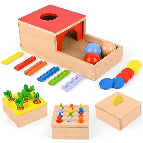Comius Sharp 4 in 1 Wooden Montessori Toys - Coin Box, Carrot Collection, Sticks for Color Matching and Motor