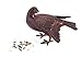 Achla Designs DOV-01 Pair Garden Animal Statuary Ornament Dove Bird, Antiqued Bronze