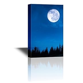 Black Forest in The Night with The Full...