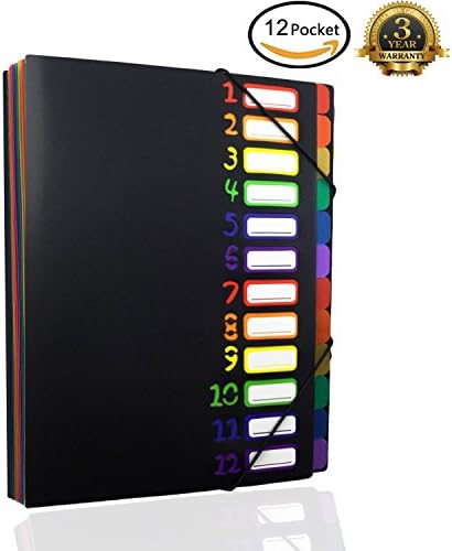 Expanding File Organizer Project Sorter 12 Pocket Rainbow Monthly Folder with Sidekick, Notebook Folders, A4 Size