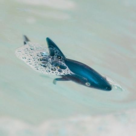 wind up shark toy