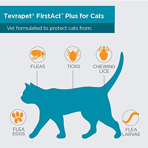 3 TevraPet+FirstAct+Topical+Prevention+Waterproof