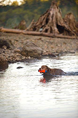 Chuckit! Amphibious Bumper - Image 2