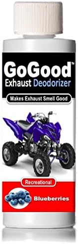 GoGood - Blueberries - Recreational Vehicle Exhaust Deodorizer - 4 oz.