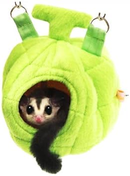 Amazon レインボー モモンガ シマリスにゆらゆらメロン レインボー 飼育ケージ内装 通販