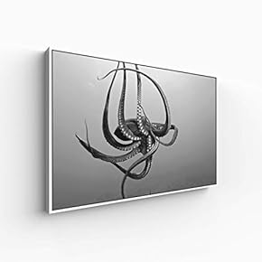Canvas Wall Art for Living Room, Bedroom Animal Portrait Framed Canvas Prints for Home Decoration Ready to Hang - 16x24 inches