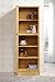 Hodedah 4 Door Kitchen Pantry with Four Shelves, Beech