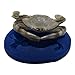 First Impressions Molds SC135 Silicone Mold, Crab