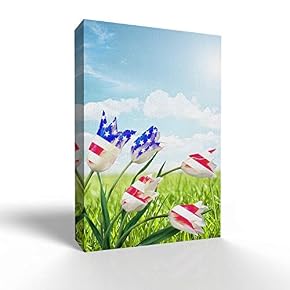 US Flag on Flower