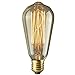 Brightech Ambience Pro Vintage Outdoor String Lights - 48 Ft Weatherproof Commercial Grade Edison Market Cafe Bistro Waterproof Light Strand for Patio Garden Porch Backyard Party Yard – Black