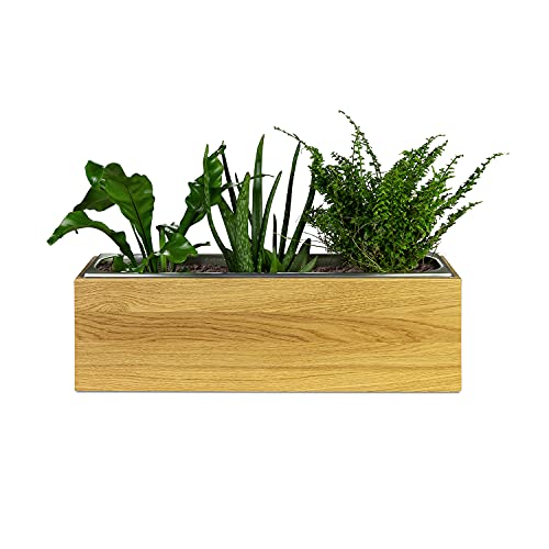 GREENHAUS Pflanzkasten Eiche 54x18x16 cm Massivholz und Handarbeit aus Deutschland Blumenkasten Kräuterbox Holz Deko – Bild 4