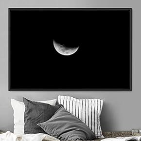 signwin Framed Canvas Wall Art Lunar Eclipse Aerial...