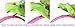 HipGirl Girls / Women Grosgrain Ribbon or Satin Fabric Wrapped Headbands (10pc Mature Color)