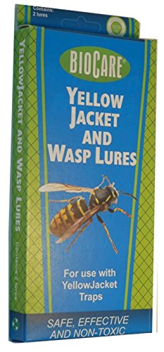 Springstar Wasp & Yellow Jacket Lure