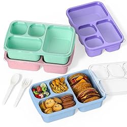 Bento Box for Adults and Snack Containers Set of 4